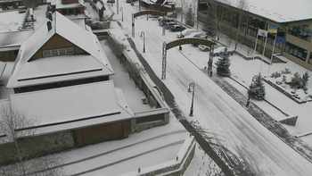 Плай 3 квітня 2022 року, 2022-04-03 10:00