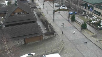 Плай 8 квітня 2022 року, 2022-04-08 10:00