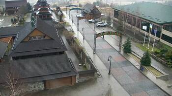 Плай 12 січня 2023 року, 2023-01-12 10:00