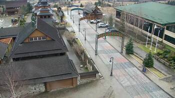 Плай 12 січня 2023 року, 2023-01-12 13:00