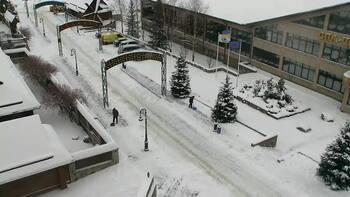 Плай 24 листопада 2024 року, 2024-11-24 10:00