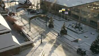 Плай 25 листопада 2024 року, 2024-11-25 10:00