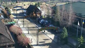 Плай 8 листопада 2025 року, 2025-11-08 13:00