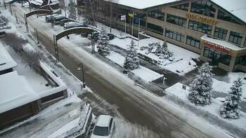 Плай 23 листопада 2025 року, 2025-11-23 16:00