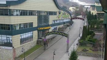 Плай 21 грудня 2025 року, 2025-12-21 10:00