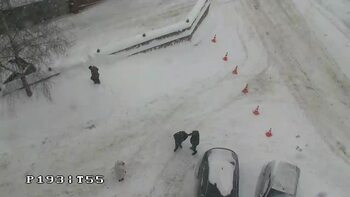 Плай 11 січня 2026 року, 2026-01-11 13:00