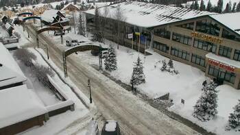 Плай 15 січня 2026 року, 2026-01-15 13:00