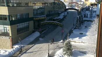 Плай 17 січня 2026 року, 2026-01-17 10:00