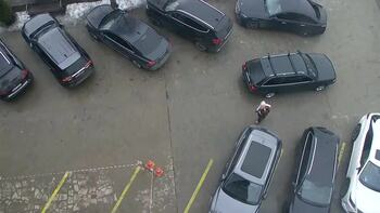 Плай 7 лютого 2026 року 13:00