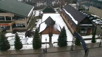 Плай 12 лютого 2026 року, 2026-02-12 13:00