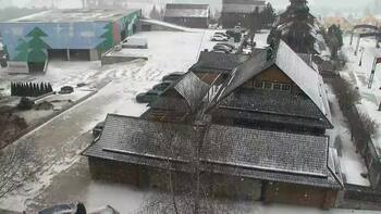 Плай 15 лютого 2026 року, 2026-02-15 13:00