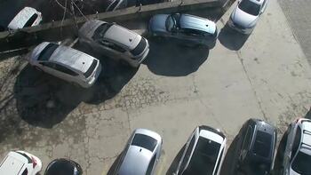 Плай 1 березня 2026 року, 2026-03-01 10:00