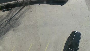 Плай 16 березня 2026 року, 2026-03-16 10:00