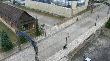 Плай 21 березня 2026 року, 2026-03-21 10:00