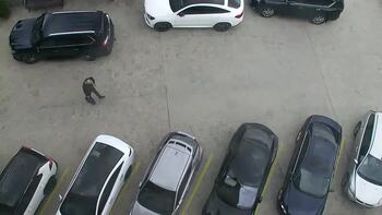 Płaj 24 marsz 2026 rok, 2026-03-24 16:00