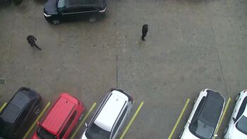 Плай 2 квітня 2026 року, 2026-04-02 10:00