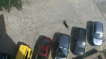Плай 9 червня 2026 року, 2026-06-09 16:00