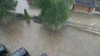 Плай 11 червня 2026 року, 2026-06-11 10:00