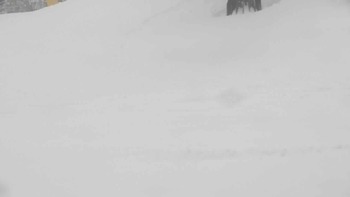 Плай 21 грудня 2017 року, 2017-12-21 13:00