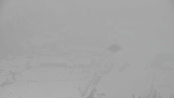 Плай 11 лютого 2018 року, 2018-02-11 10:00