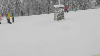 Плай 31 грудня 2018 року, 2018-12-31 10:00