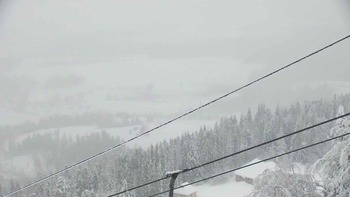 Плай 2 січня 2019 року, 2019-01-02 16:00