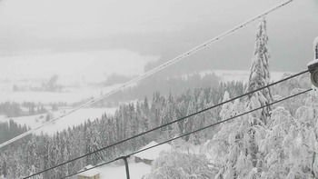 Плай 8 січня 2019 року, 2019-01-08 10:00