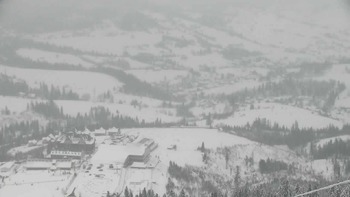 Плай 12 січня 2019 року, 2019-01-12 10:00
