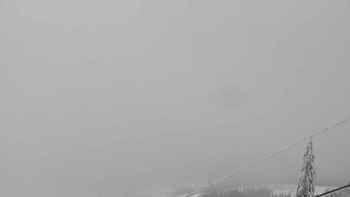 Плай 13 січня 2019 року, 2019-01-13 16:00