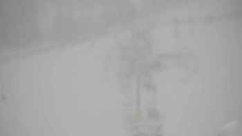 Плай 16 січня 2019 року, 2019-01-16 13:00