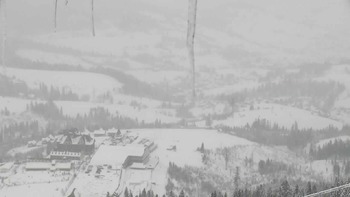 Плай 20 січня 2019 року, 2019-01-20 13:00