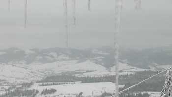 Плай 20 січня 2019 року, 2019-01-20 16:00