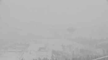 Плай 23 січня 2019 року, 2019-01-23 13:00