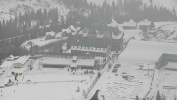 Плай 29 січня 2019 року, 2019-01-29 13:00