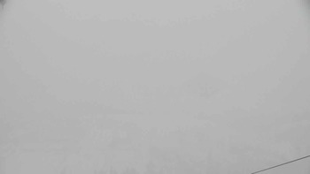 Плай 29 січня 2019 року, 2019-01-29 16:00