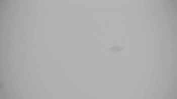 Плай 31 січня 2019 року, 2019-01-31 13:00