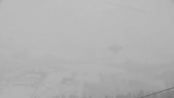 Плай 22 лютого 2019 року, 2019-02-22 10:00