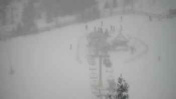 Плай 31 січня 2020 року, 2020-01-31 16:00