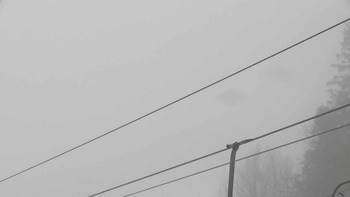 Плай 2 березня 2020 року, 2020-03-02 13:00