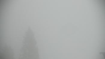 Плай 5 січня 2021 року, 2021-01-05 16:00