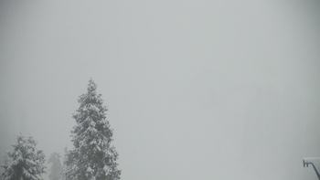 Плай 7 січня 2021 року, 2021-01-07 16:00