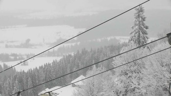 Плай 19 січня 2021 року, 2021-01-19 13:00