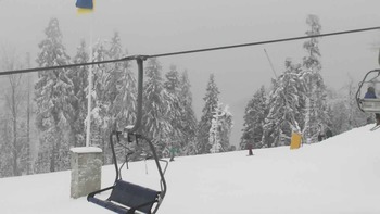 Плай 20 січня 2021 року, 2021-01-20 13:00