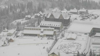 Плай 26 січня 2021 року, 2021-01-26 10:00
