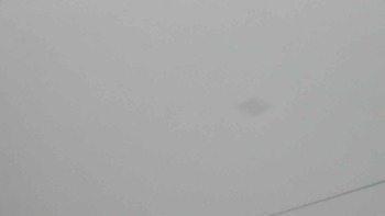 Плай 14 березня 2021 року, 2021-03-14 16:00