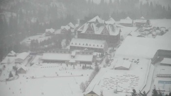 Плай 25 грудня 2021 року, 2021-12-25 16:00
