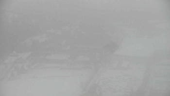 Плай 2 січня 2022 року, 2022-01-02 10:00