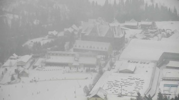 Плай 20 січня 2022 року, 2022-01-20 16:00