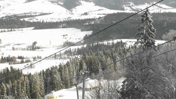 Плай 31 січня 2022 року, 2022-01-31 13:00