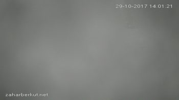 Захар Беркут 29 жовтня 2017 року, 2017-10-29 13:00